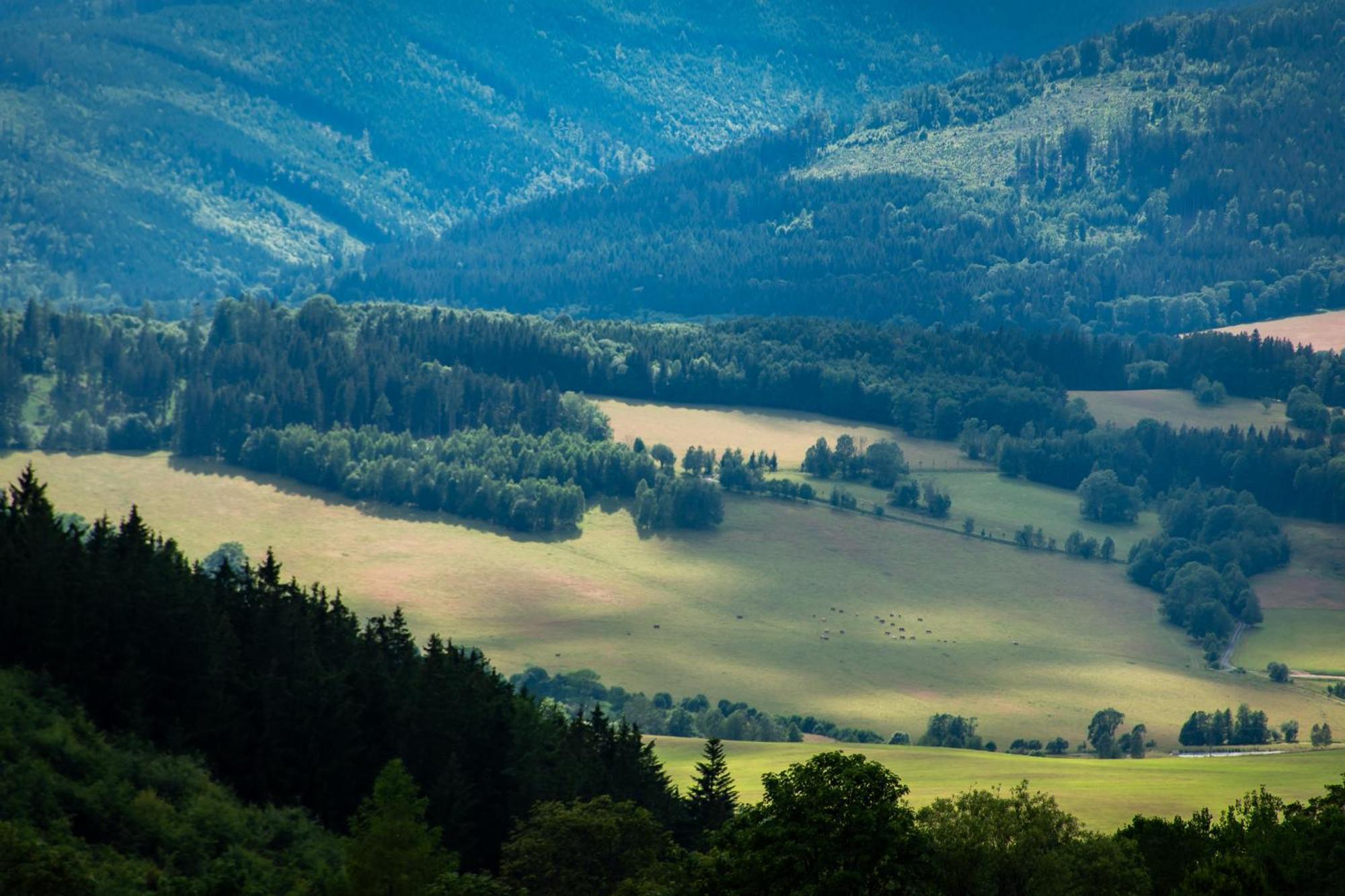 Penzion U Skoly Staré Město エクステリア 写真