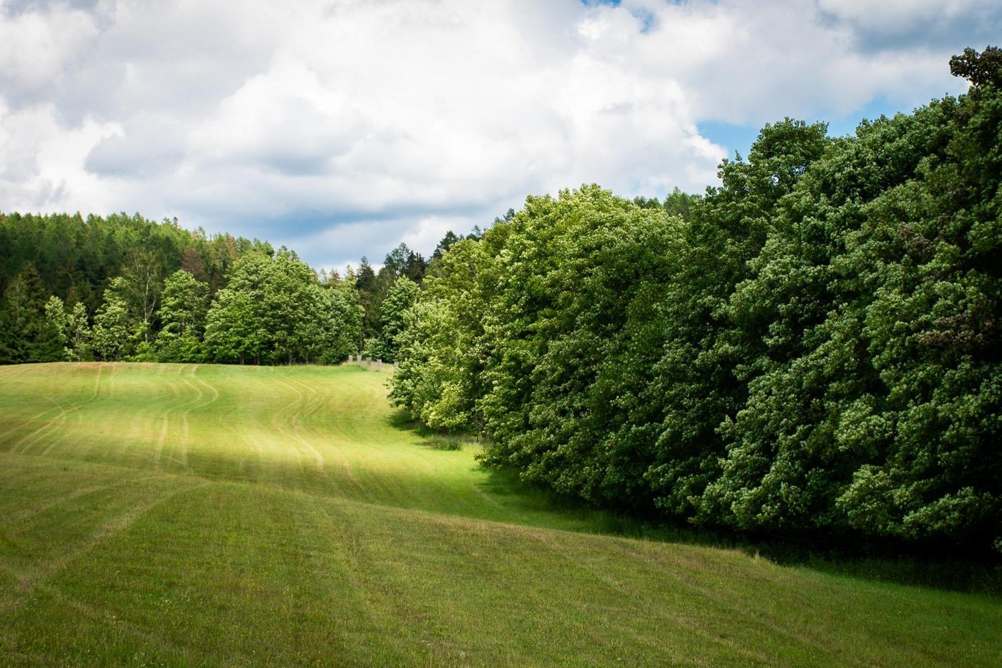 Penzion U Skoly Staré Město エクステリア 写真